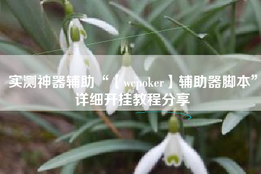 实测神器辅助“【wepoker】辅助器脚本”详细开挂教程分享