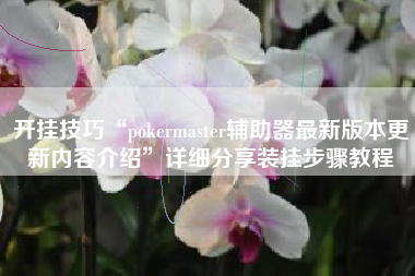 开挂技巧“pokermaster辅助器最新版本更新内容介绍”详细分享装挂步骤教程