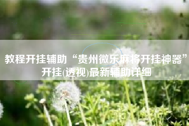 教程开挂辅助“贵州微乐麻将开挂神器”开挂(透视)最新辅助详细