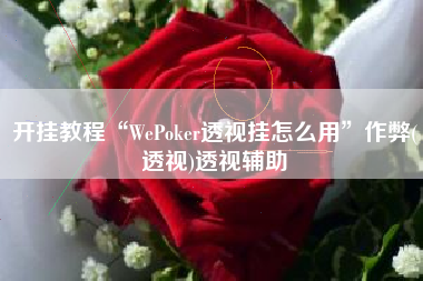 开挂教程“WePoker透视挂怎么用”作弊(透视)透视辅助