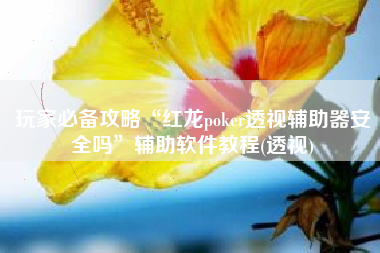 玩家必备攻略“红龙poker透视辅助器安全吗	”辅助软件教程(透视)