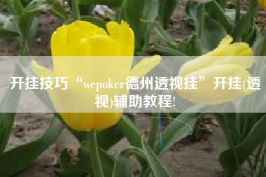 开挂技巧“wepoker德州透视挂	”开挂(透视)辅助教程!