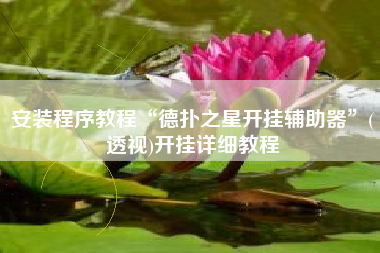 安装程序教程“德扑之星开挂辅助器”(透视)开挂详细教程