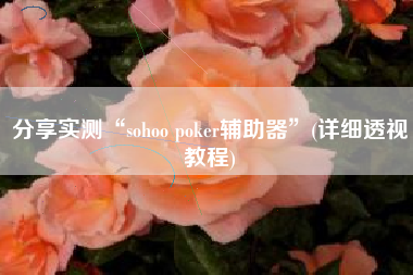 分享实测“sohoo poker辅助器	”(详细透视教程)