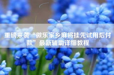 重磅来袭“微乐家乡麻将挂先试用后付款”最新辅助详细教程