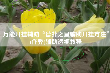 万能开挂辅助“德扑之星辅助开挂方法”(作弊)辅助透视教程