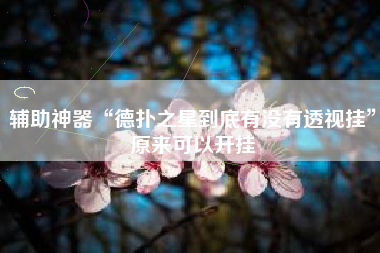 辅助神器“德扑之星到底有没有透视挂”原来可以开挂