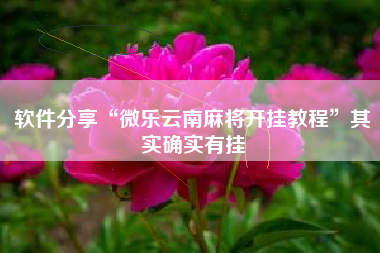 软件分享“微乐云南麻将开挂教程”其实确实有挂