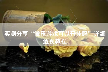实测分享“微乐游戏可以开挂吗”详细透视教程