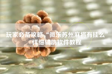 玩家必备攻略“微乐苏州麻将有挂么”详细辅助软件教程