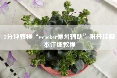 3分钟教程“wepoker德州辅助	”附开挂脚本详细教程