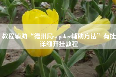 教程辅助“德州局wepoker辅助方法”有挂详细开挂教程