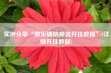 实测分享“微乐辅助神器开挂教程”(详细开挂教程)