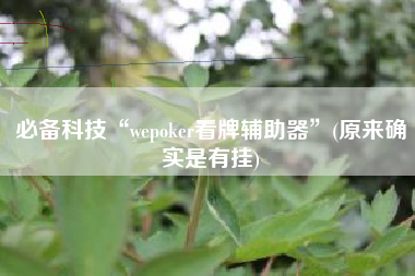 必备科技“wepoker看牌辅助器”(原来确实是有挂)