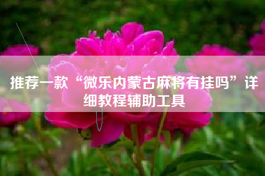 推荐一款“微乐内蒙古麻将有挂吗”详细教程辅助工具