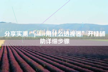 分享实测“poker用什么透视器”开挂辅助详细步骤