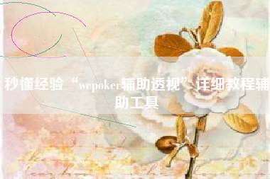 秒懂经验“wepoker辅助透视”详细教程辅助工具