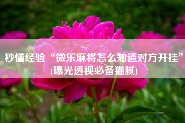 秒懂经验“微乐麻将怎么知道对方开挂”(曝光透视必备猫腻)