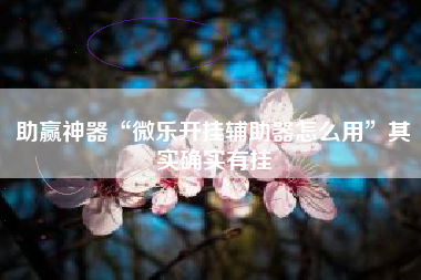 助赢神器“微乐开挂辅助器怎么用”其实确实有挂