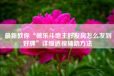 最新教你“微乐斗地主好友房怎么发到好牌”详细透视辅助方法