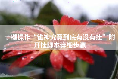 一键操作“雀神究竟到底有没有挂	”附开挂脚本详细步骤