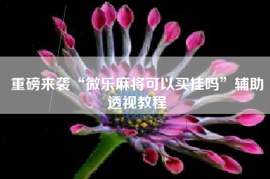 重磅来袭“微乐麻将可以买挂吗”辅助透视教程