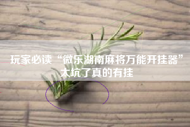 玩家必读“微乐湖南麻将万能开挂器”太坑了真的有挂