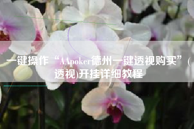 一键操作“AApoker德州一键透视购买”(透视)开挂详细教程