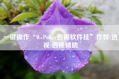 一键操作“WePoKer透视软件挂	”作弊(透视)透视辅助
