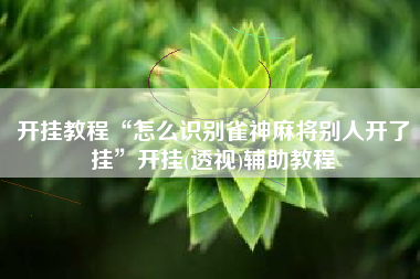 开挂教程“怎么识别雀神麻将别人开了挂”开挂(透视)辅助教程