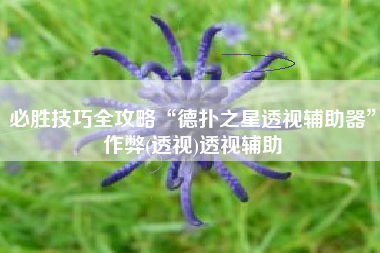 必胜技巧全攻略“德扑之星透视辅助器”作弊(透视)透视辅助