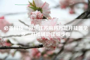 必备科技“微乐江苏麻将万能开挂器免费”开挂辅助详细步骤