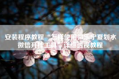 安装程序教程“怎样使用微乐宁夏划水微信开挂工具”详细透视教程