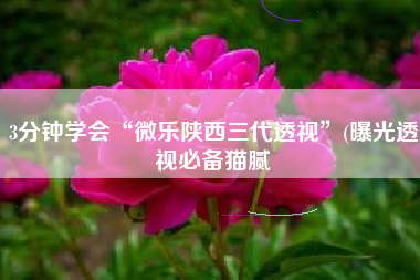 3分钟学会“微乐陕西三代透视”(曝光透视必备猫腻