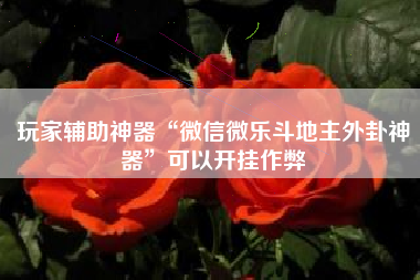 玩家辅助神器“微信微乐斗地主外卦神器	”可以开挂作弊