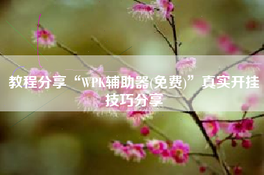 教程分享“WPK辅助器(免费)”真实开挂技巧分享