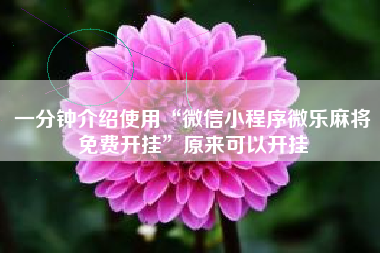 一分钟介绍使用“微信小程序微乐麻将免费开挂”原来可以开挂