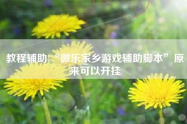 教程辅助!“微乐家乡游戏辅助脚本	”原来可以开挂