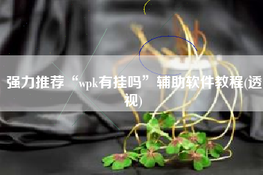 强力推荐“wpk有挂吗	”辅助软件教程(透视)