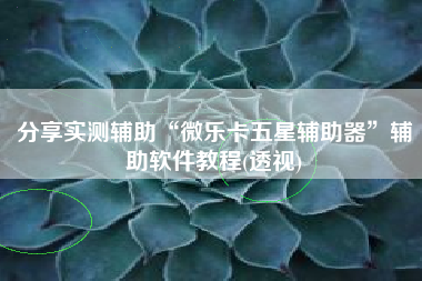 分享实测辅助“微乐卡五星辅助器”辅助软件教程(透视)