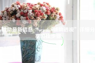辅助最新信息“wepoker辅助透视	”详细分享装挂步骤