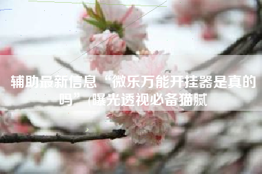 辅助最新信息“微乐万能开挂器是真的吗	”(曝光透视必备猫腻