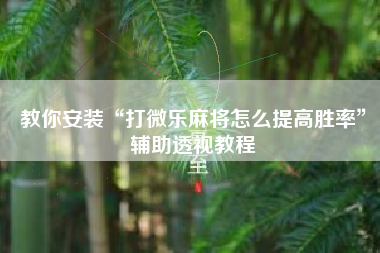 教你安装“打微乐麻将怎么提高胜率”辅助透视教程