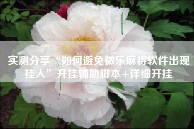 实测分享“如何避免微乐麻将软件出现挂人”开挂辅助脚本+详细开挂