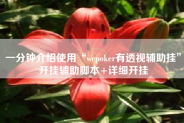 一分钟介绍使用“wepoker有透视辅助挂”开挂辅助脚本+详细开挂