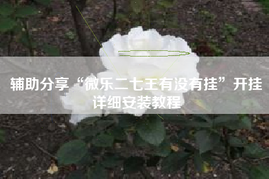 辅助分享“微乐二七王有没有挂”开挂详细安装教程