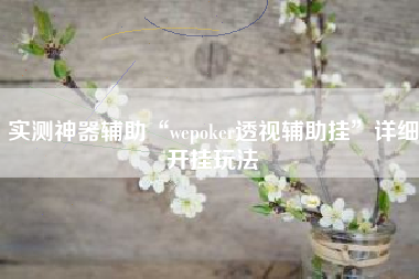 实测神器辅助“wepoker透视辅助挂”详细开挂玩法