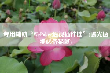 专用辅助“WePoker透视插件挂”(曝光透视必备猫腻)