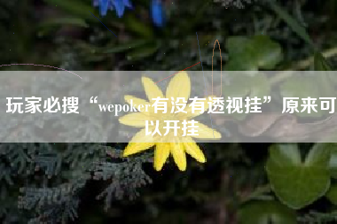 玩家必搜“wepoker有没有透视挂	”原来可以开挂