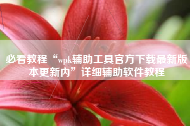 必看教程“wpk辅助工具官方下载最新版本更新内	”详细辅助软件教程